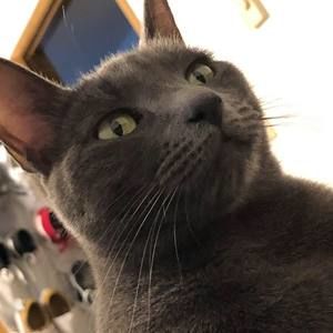 Meet your Posher, Mitchell